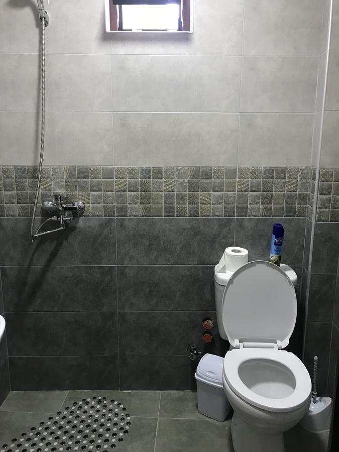 Borjomi Inn Εξωτερικό φωτογραφία